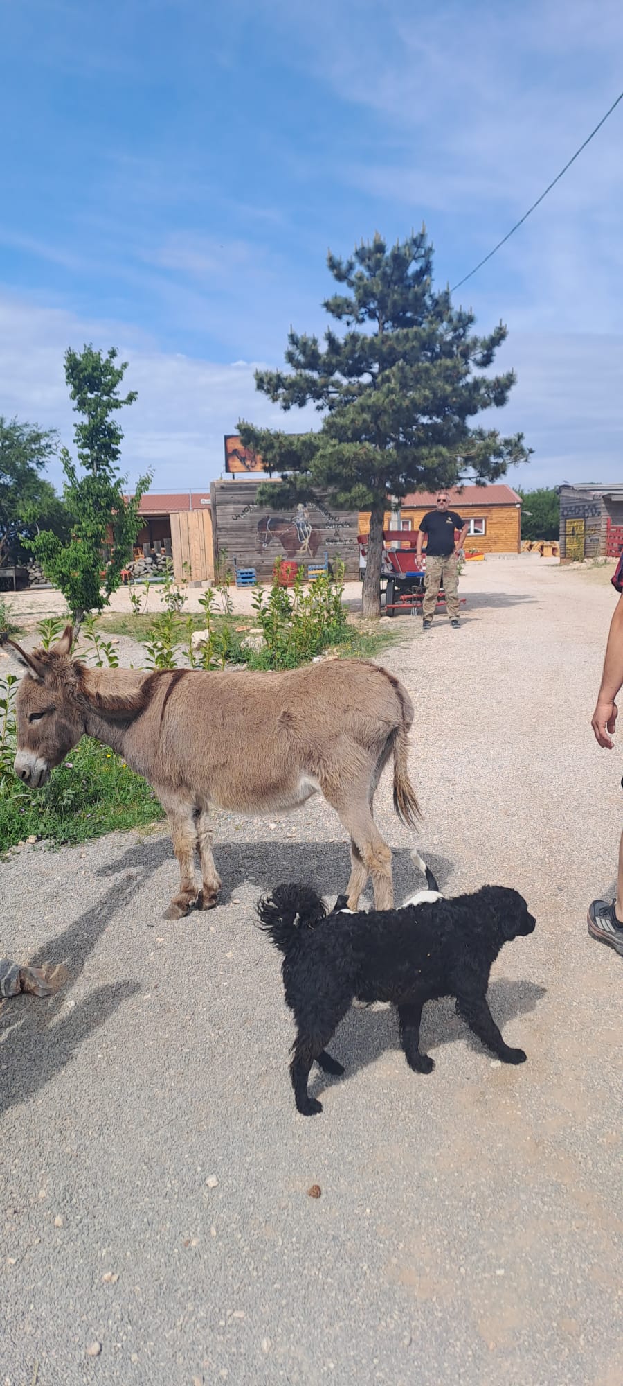 Dječji vrtić Šareni leptirić Solin