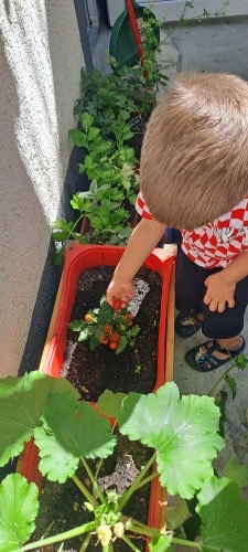 Dječji vrtić Šareni leptirić Solin
